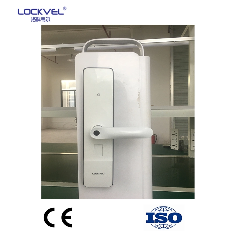 High quality/High cost performance  Digital Biometric Password Fingerprint Key Smart Door Lock for House