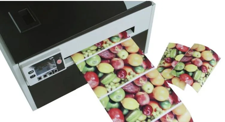 Vp700 Digital Inkjet Printer for Sale