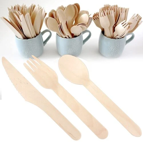 Ecoware Biodegradable Natural Birch Disposable Wooden Spoons