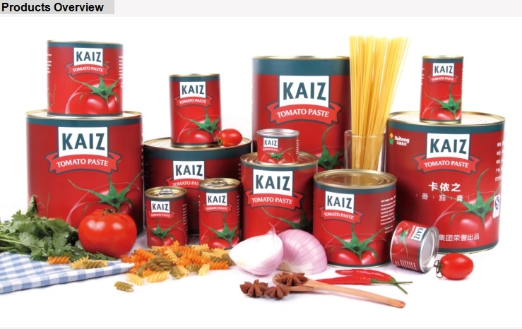 400g, and 850g Tomato Paste with Top Quality for Surinam