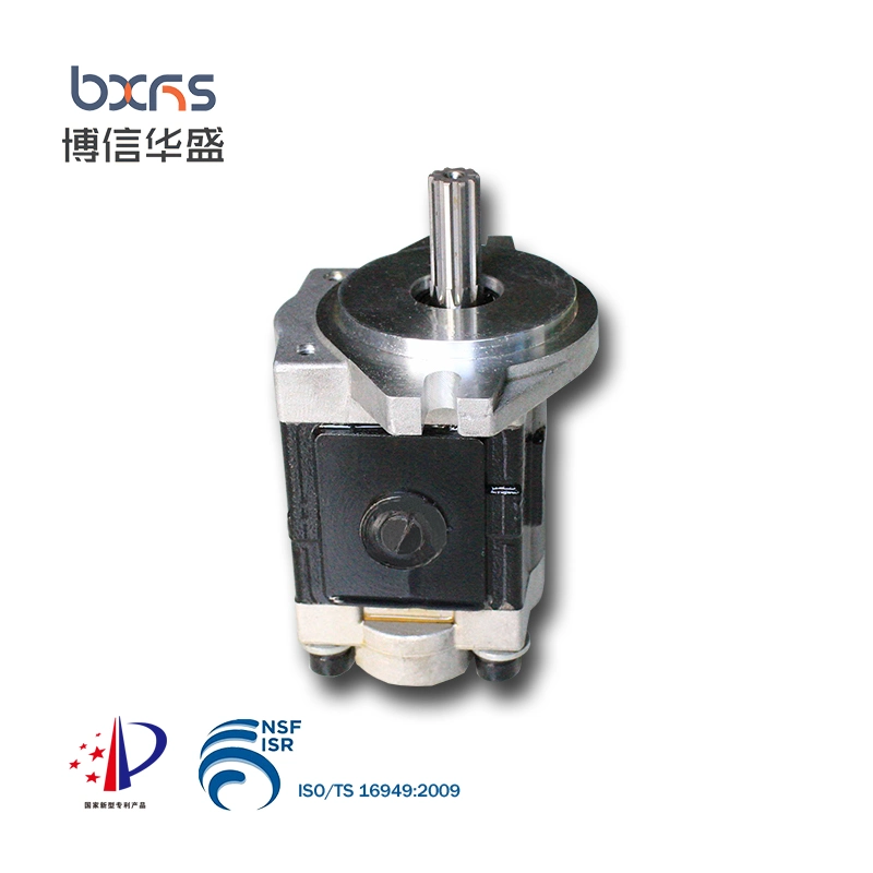 Cbhs-F20 Series Hydraulic Aluminum Gear Rotary Pump for Electric Forklift