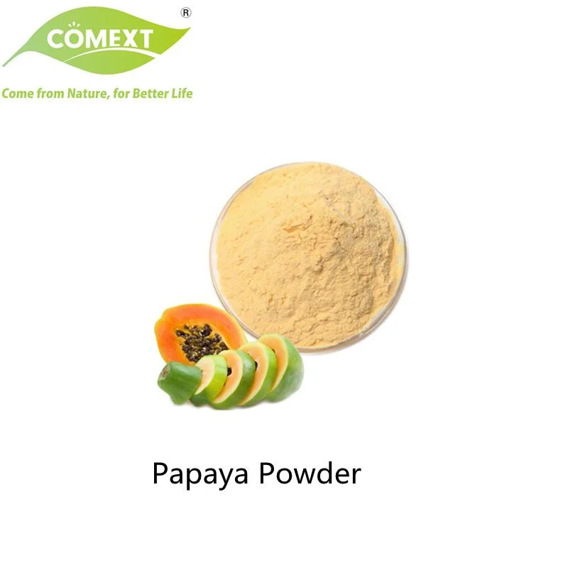 Comext Hersteller Hilfe Verdauung Food Grade Food Additive Papaya Frucht Pulver