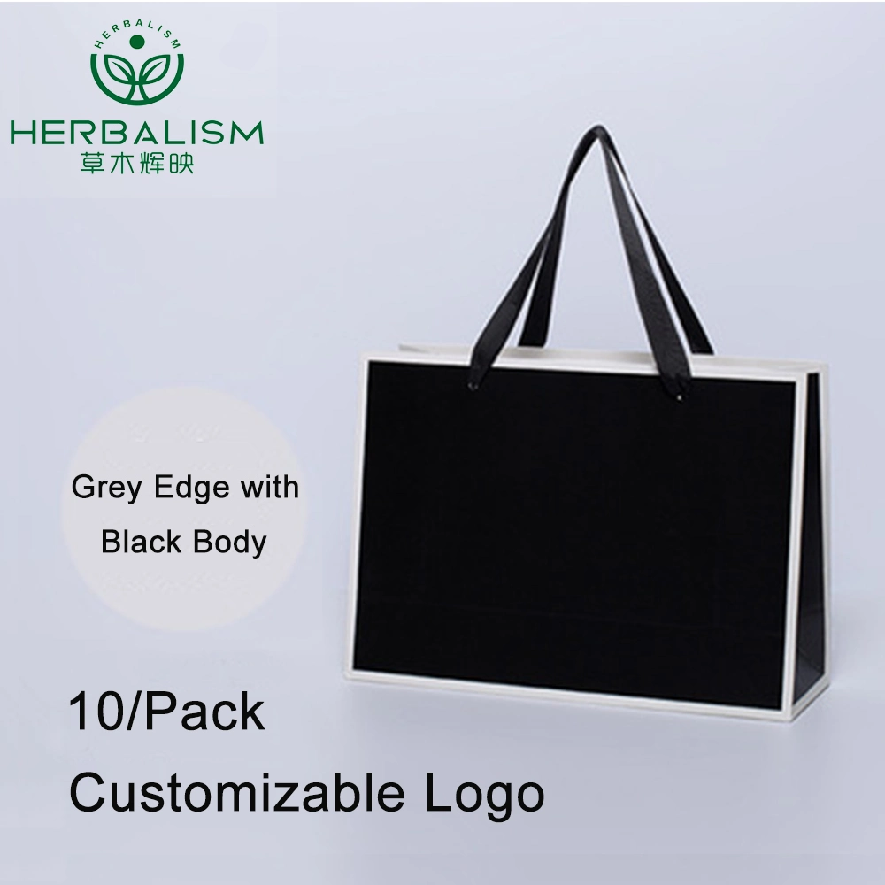 Hot Sales Custom Printed Logo Packaging Shopping Kraft Paper Bag with Ribbon Handles