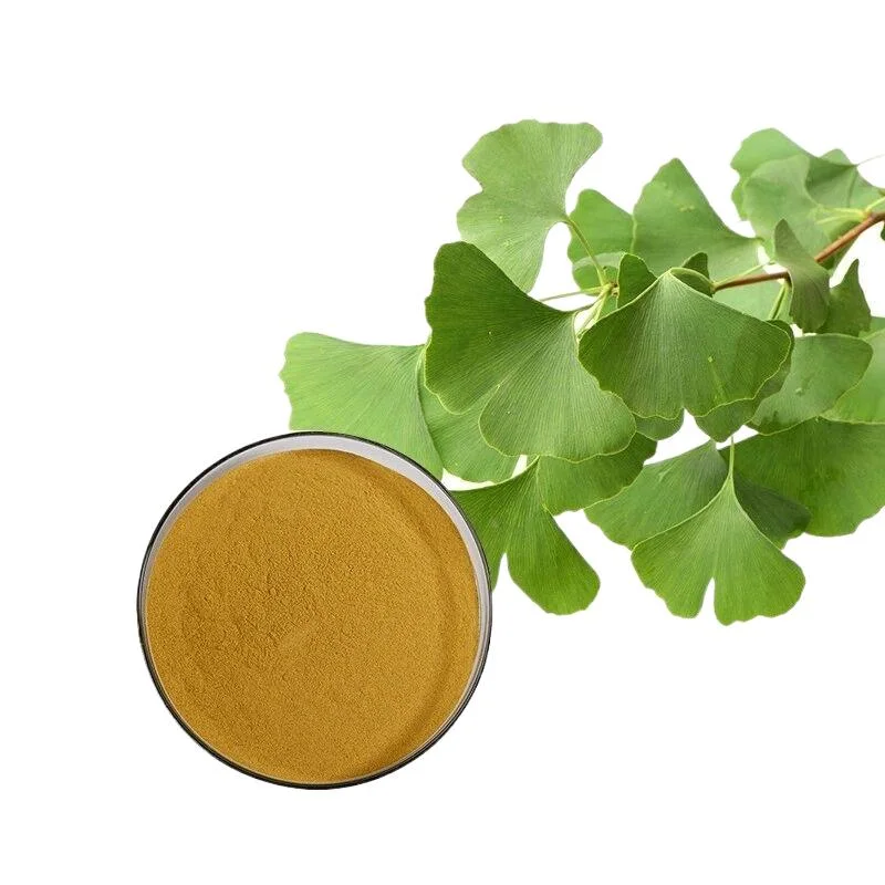Extrato herbal 24% flavonas 6% lactones extrato da folha de Ginkgo Biloba