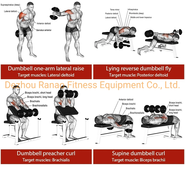 Salle de gym du matériel de fitness haltères réglable automatique 20kg, 24 kg, 32 kg, 36kg augmenter de 4 kg Smart Set haltère