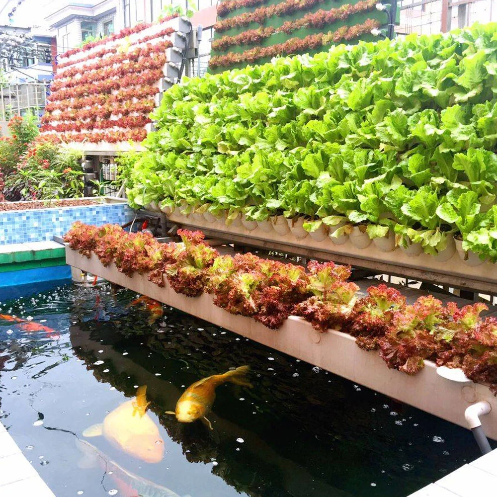 Commercial Industrial Hydroponics Growing System with Irrigation/Nft Channels for Vegetable Fish Vegetable Symbiosis