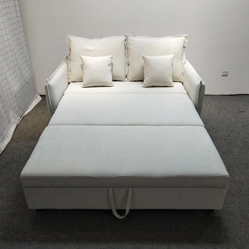 Nordic Style Sofa Bed 2 Seaters Sofa Cum Bed Hotel Convertibel Sofa Sleeper