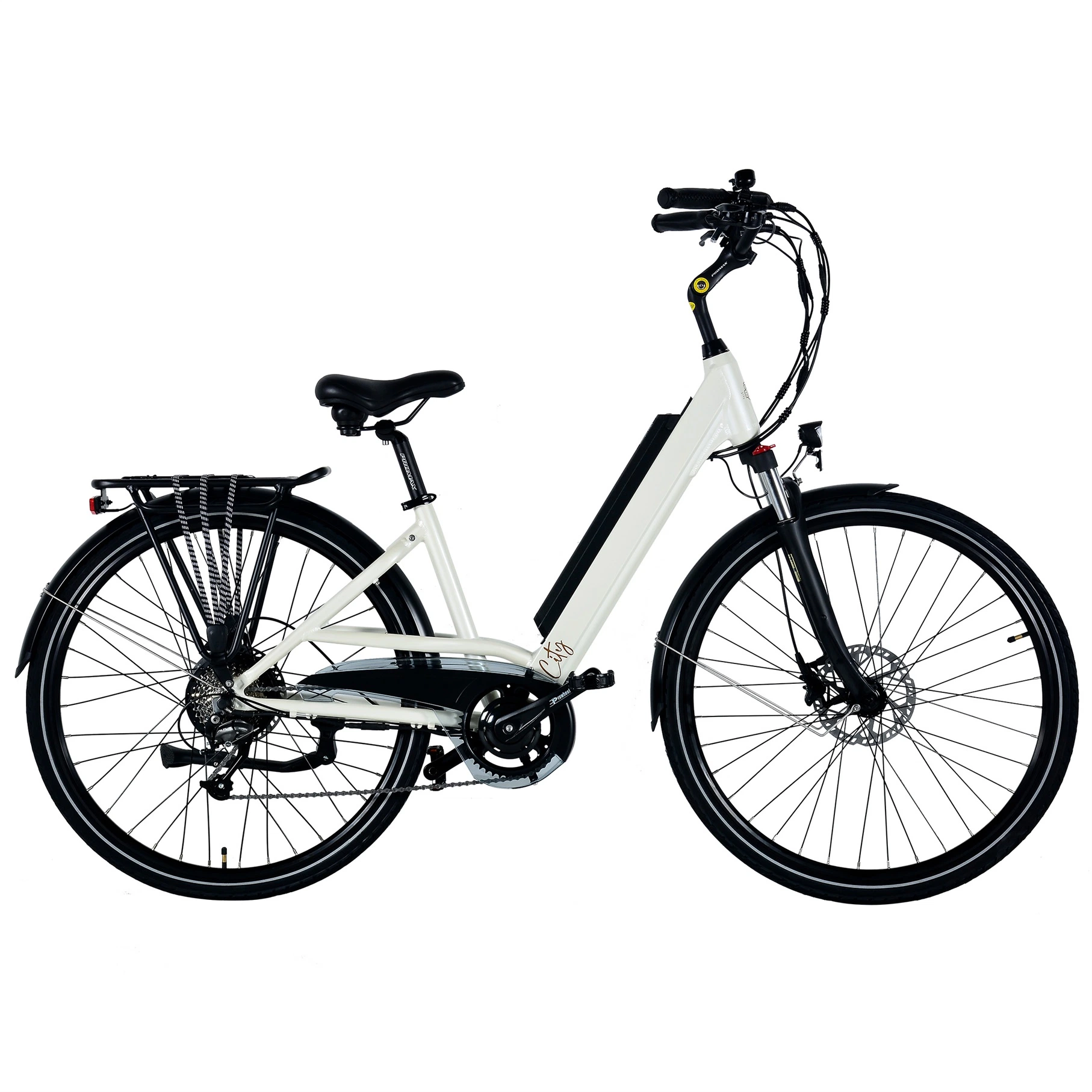 2023 Factory Price Ebike with Removable 36V Lithium Battery Electric Bike