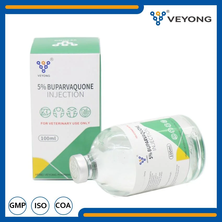 Pharmaceutical Medicine Drugs 5% Buparvaquone Injection for Veterinary Use Manufacturer