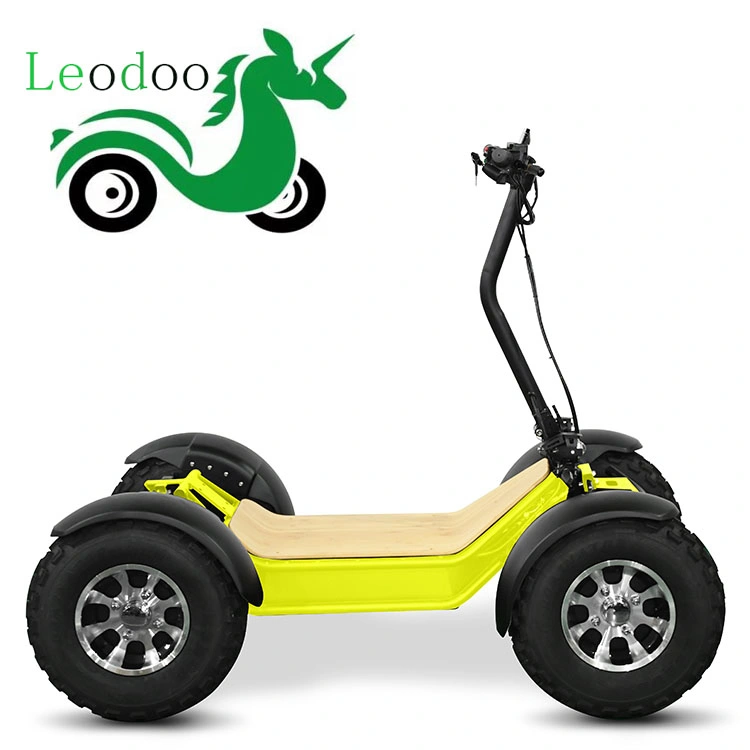 Electric ATV 4X4 Adult Snow Standing Type Electric ATV