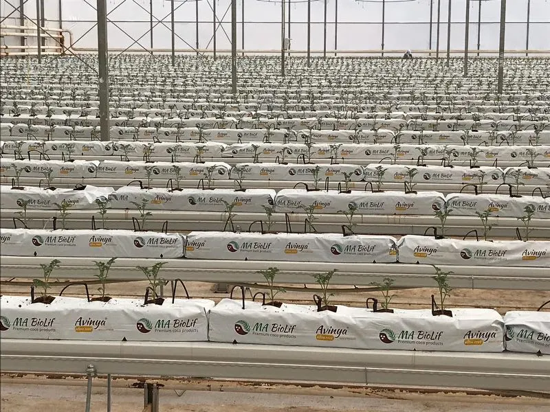 Modern Agricutural Fertilizer Dosing System for Irrigation Drip