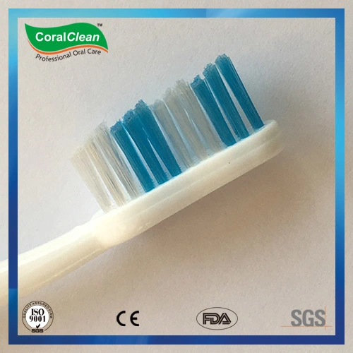 Foldable Adults&prime; Dental Care Nylon Filaments Toothbrush