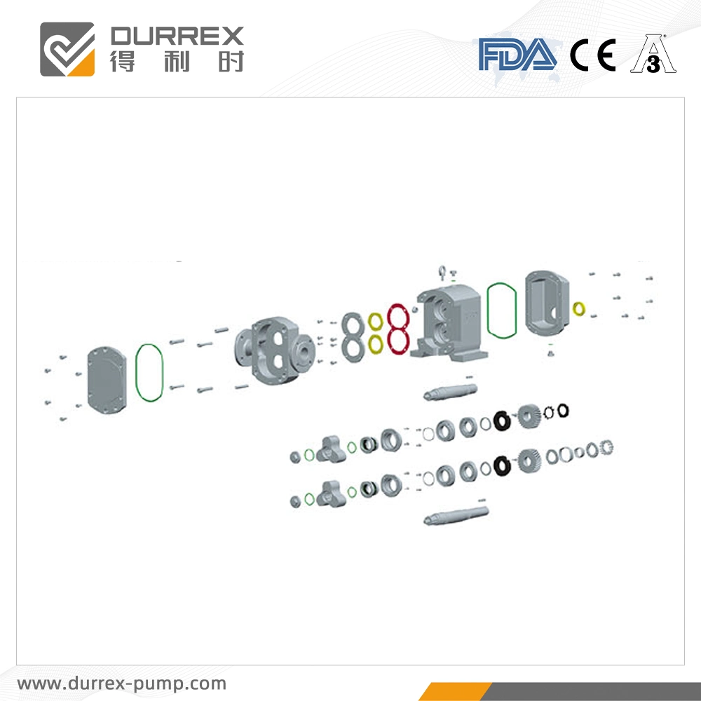 Saccharose Transfer Rotary Pumpe mit hoher Qualität