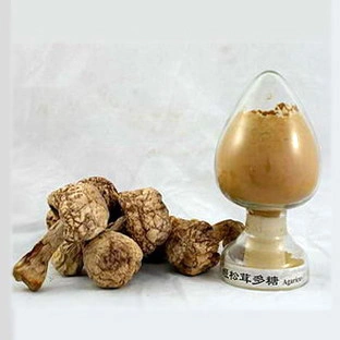 Agaricus Blazei Mushroom Extract, Plant Extract