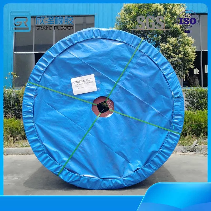 Black Rubber Fabric Polyester Ep/Nn/Ee/Piw DIN Industrial Heat/Tear/Abrasion/Fire Resistant Conveyor Belts for Bulk Material Handling