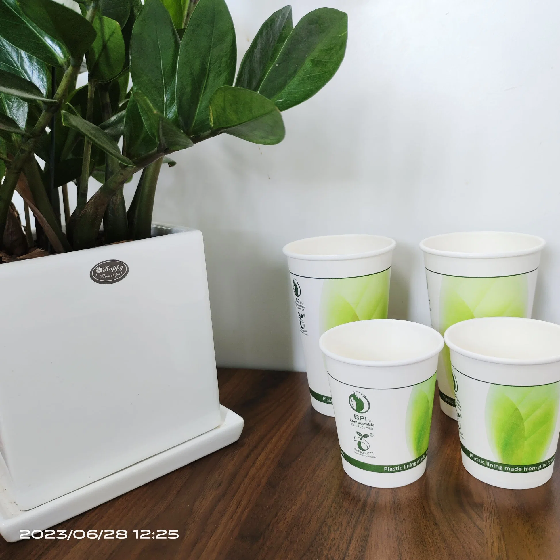 Fully Degradable Disposable PLA Coated Paper Cup, Single and Double Layer Thickened Coffee, Milk Tea, Cold and Hot Drinks, Hollow Paper Cup Packaging