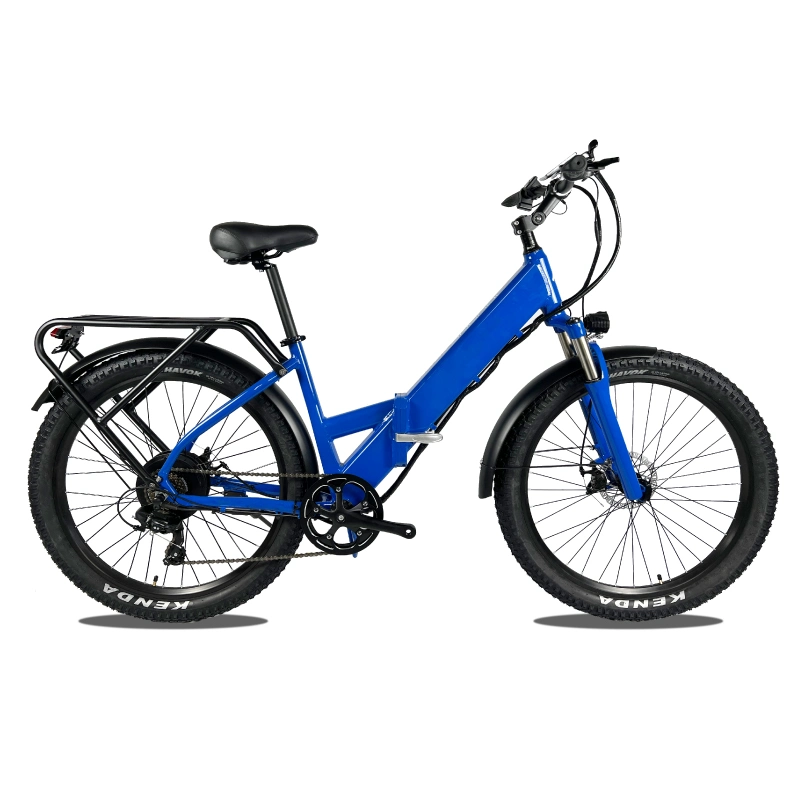 14AH Elektrisches Fahrrad Mountainbikes Elektrische Batterie 48V 1000W E Fahrrad OEM