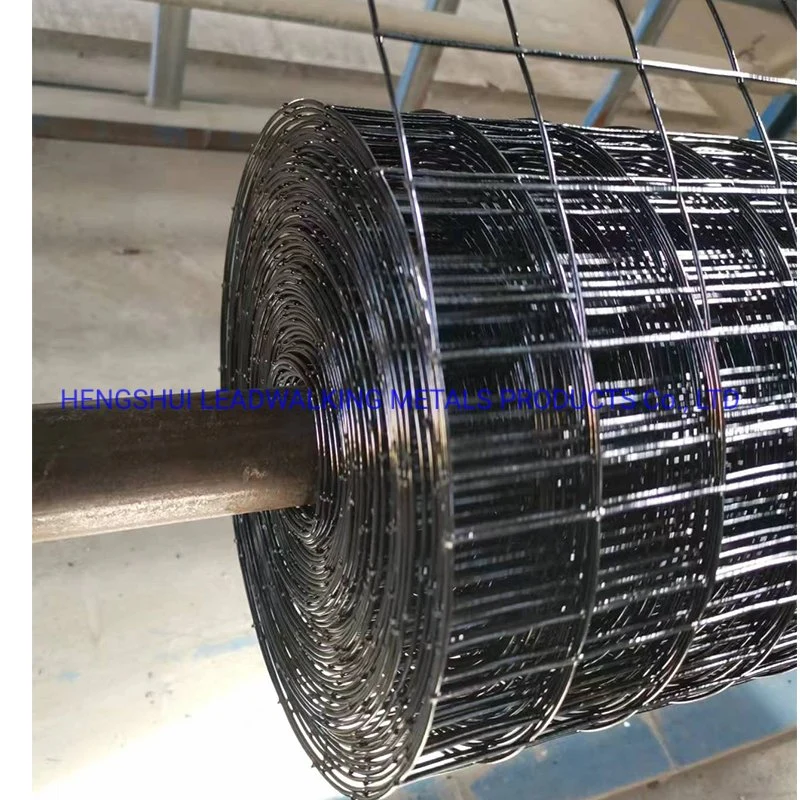 Galvanized Wire Mesh / Galvanized / PVC Coated Welded Wire Mesh for Garden Fence and Cages