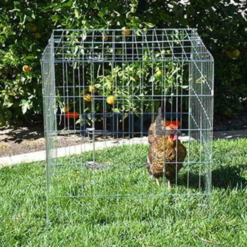 Gamefowl Square Pen Wire Chicken Cage para la venta