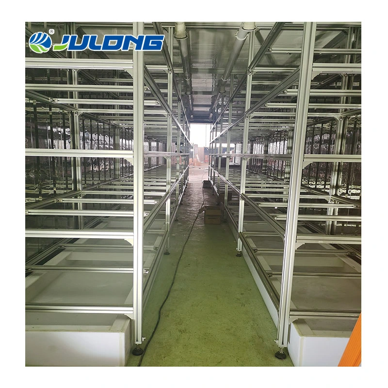 Turnkey Project Vertical Farming Aquaponics Suppliers Hydroponic Container Greenhouse Factory Price