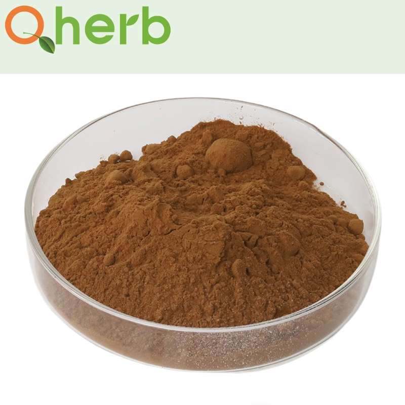 Phyllantus Niruri Extract 4: 1 with Free Sample