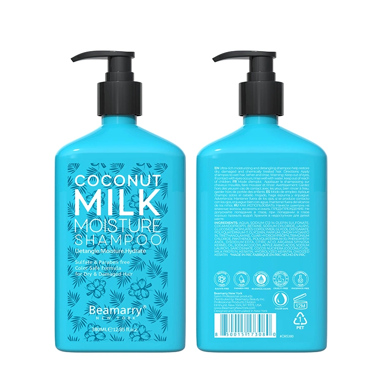 380ml Coconut Milk Hair Shampoo Hair Treatment Products Best Salon Professional Argan Oil Color Protect Shampoo and Conditioner
