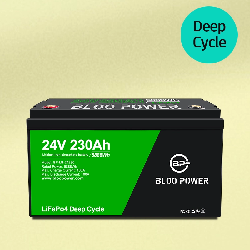 Bloo Power Customized Storage 12V 100 Ah with BMS Phosphate Energy for Data Center Hostel School University Shopping Center Mall Bank