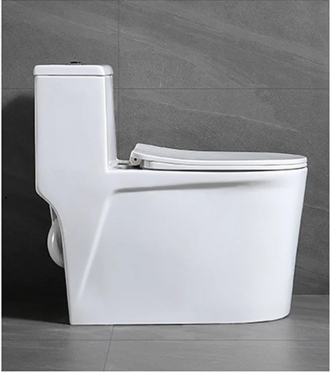 Water Saving One Piece Siphonic Toilet with Slow Down Seat Cover