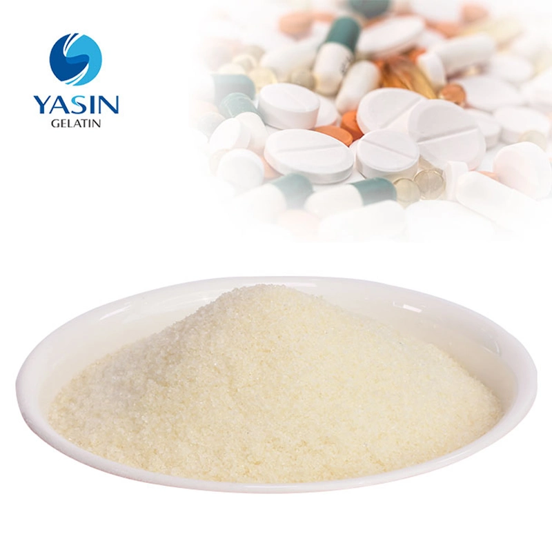 Halal Certificated Gelatin Powder