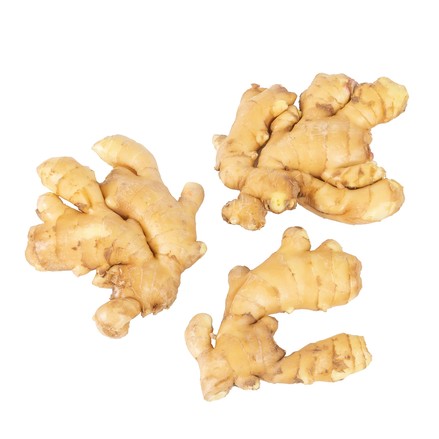 Chinese Fresh Ginger Dried Ginger 10kg Box Mesh Bag Packing for Sale