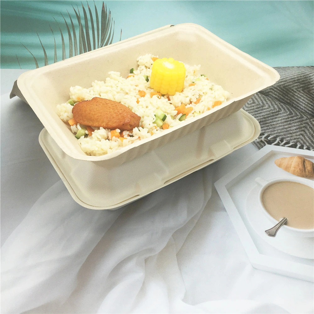 Disposable Biodegradable Clamshell Food Container