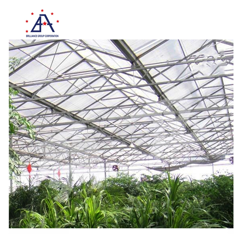 Hot Sales Agriculture Greenhouse Aluminium Profile