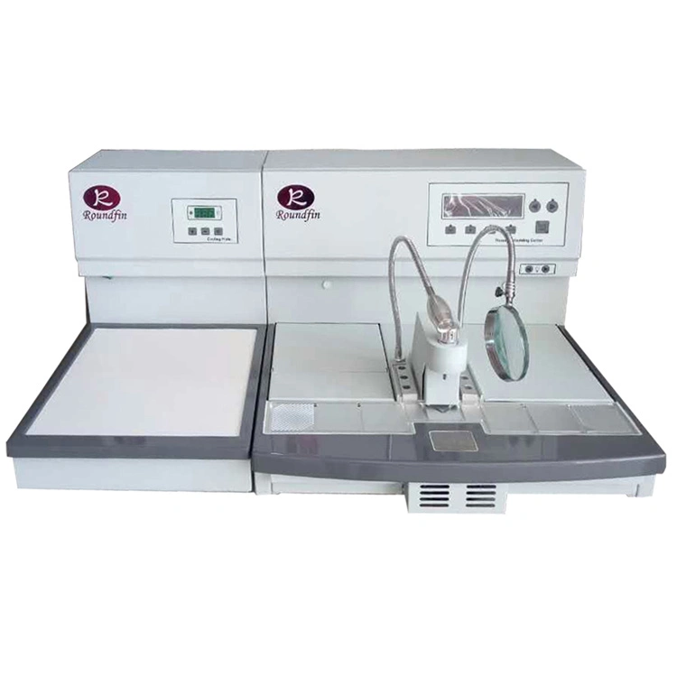 Roundfin Histology Freezing Pathology Paraffin Tissue Embedding Center