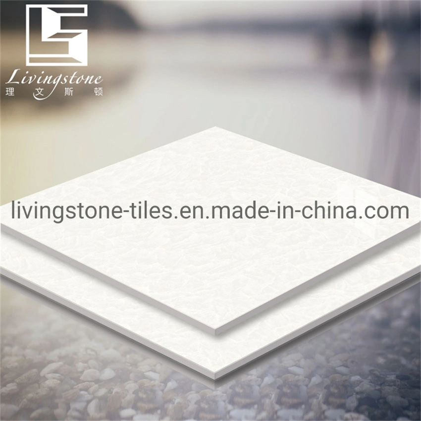 600*600mm Iceberg Snow Lotus Series Matt Finish Building Material Floor Cement Hotel Tile