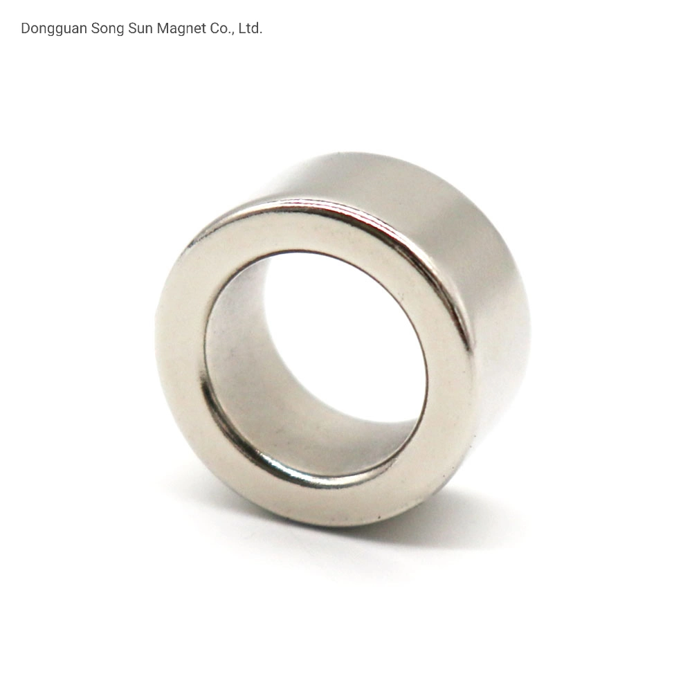 Rare Earth Magnetic Materials Permanent/ for Clothes and Bag Neodymium Ring Magnets