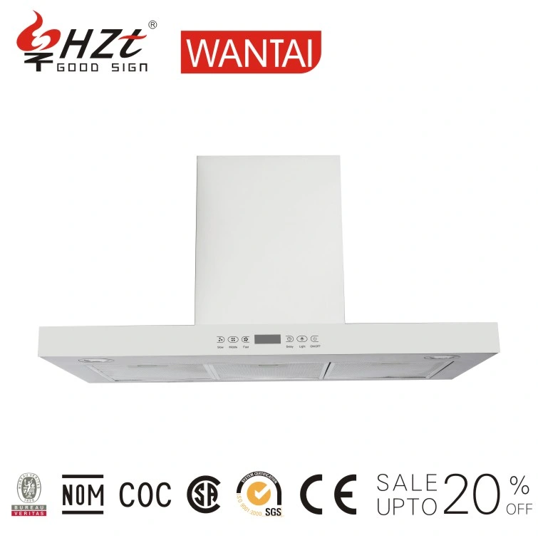 Wholesale/Supplier Home Kitchen Top Suction T Type Range Hood Chemical Fume Extraction Hood