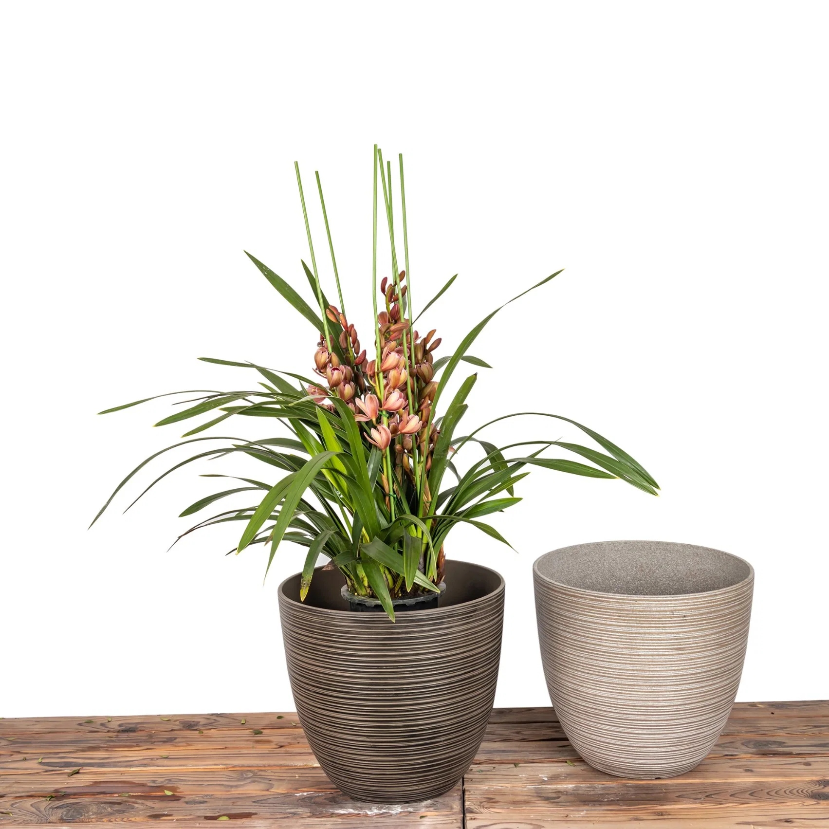 Factory Wholesale/Supplier Plastic Egg Flower Pot Natural Stone Finishing Eco-Friendly Pots