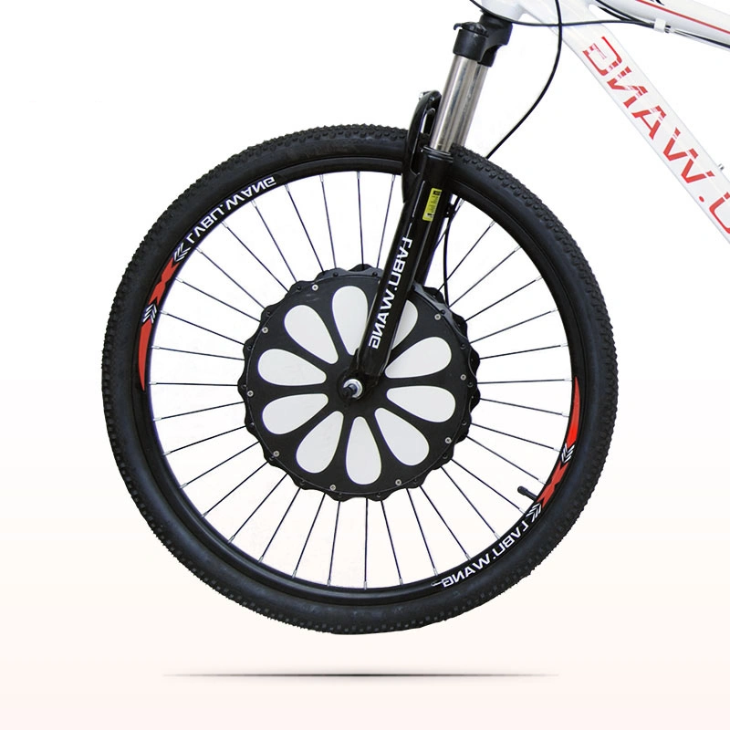 Bicyclette Fat 20Pouce Kit de conversion de vélo électrique du moteur de moyeu de roue