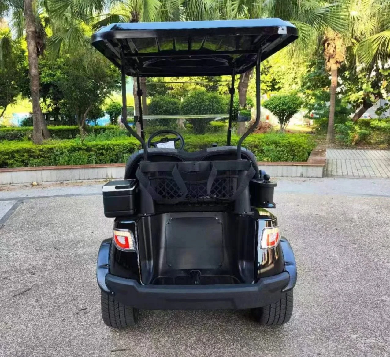 Clientes minoristas y mayoristas Carrito de golf de 2 plazas off road de Turismo de carros de golf eléctrico con batería de litio