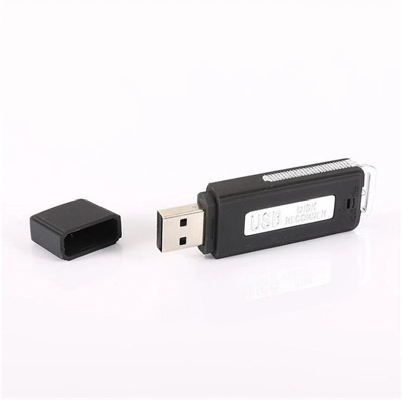 Nuevo diseño profesional Mini USB Voice Recorder y Flash Drive