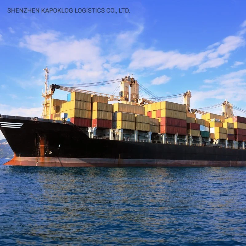 Door to Doorshipping Container Sea Freight Marine Cargo From China to Iraq