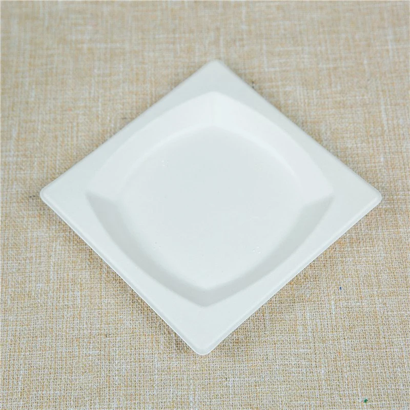 Bagasse Plate Square Plates Rectangle Sugarcane Bagasse White Plate 6/ 8.5/ 10 Inch Disposable Square Plate