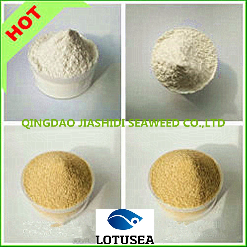 Superior Quality Textile Grade Sodium Alginate