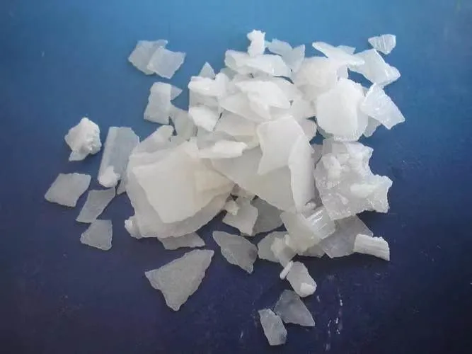 Hot Sale for Refining of Animal Oils Industrial Grade Caustic Soda Flakes