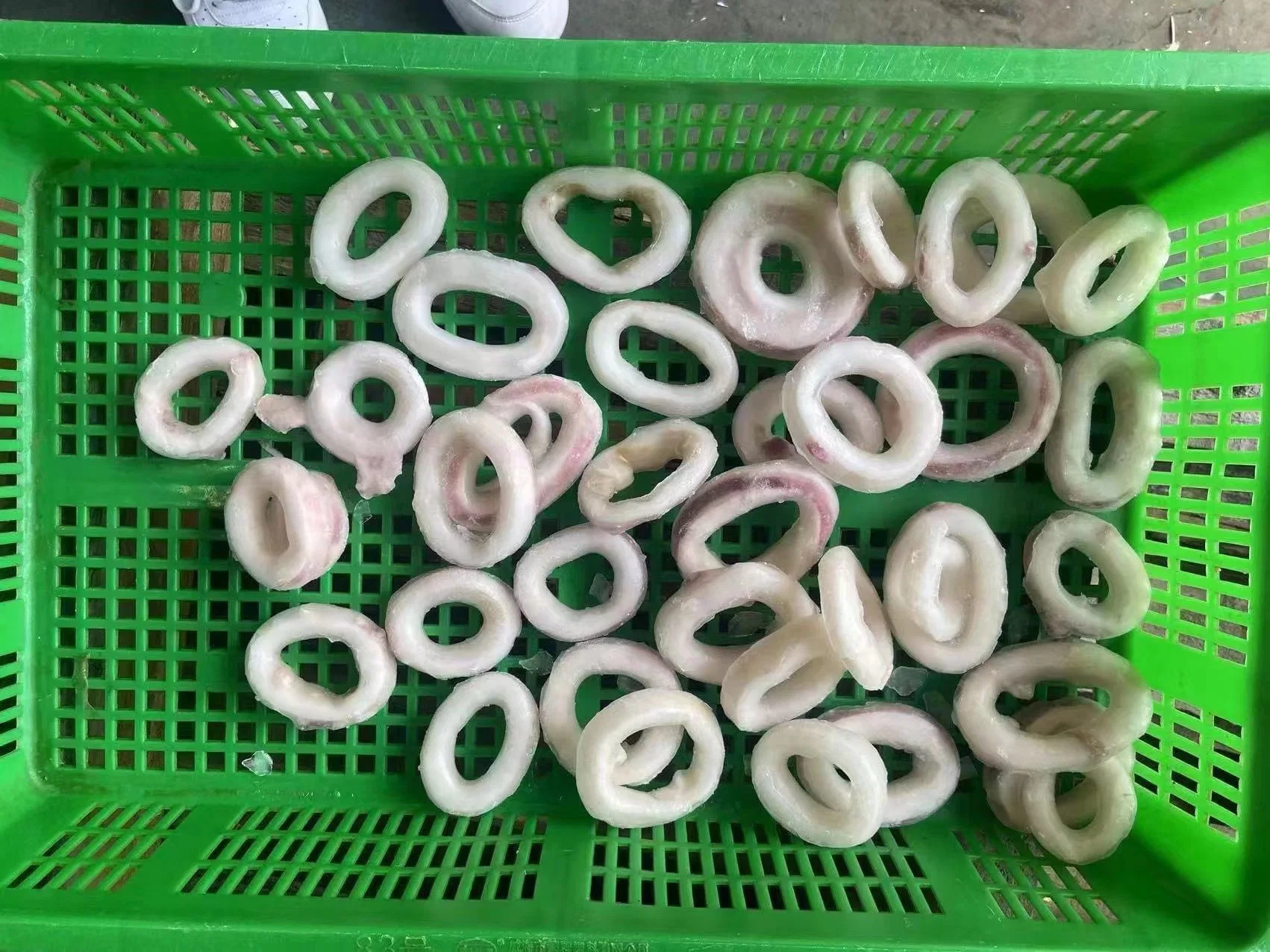 Frozen Seafood Hot Sale Indian Squid Ring with Skin on for Market