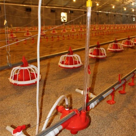 Chinese Top Quality Broiler Chicken Farm Equipment for Layer and Breeder