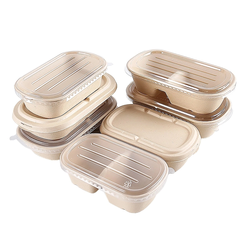 Disposable Salad Pulp Food Containers Compostable Biodegradable Meal Box Pfas Free