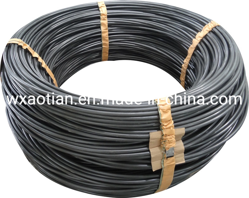 Cold Drawn Chq Swch10A Phosphate Coated Saip Annealed Fastener Low Carbon Steel Wire