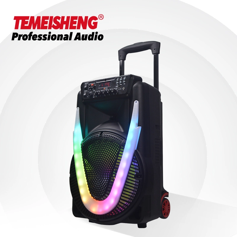 Temeisheng 2022 Professional Double12inch LED Light Haut-parleur karaoké sans fil Bass Système audio pour haut-parleur rechargeable Party