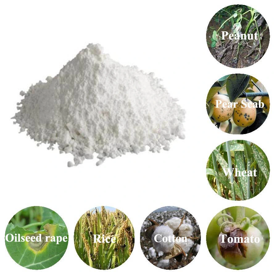 Quality Carbendazim for Fungus Control and Plant Health